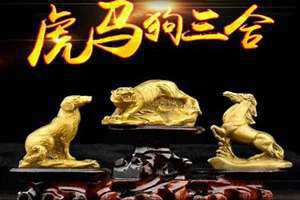 狗三合生肖(狗三合)