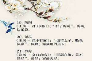 男楚辞女诗经 男楚辞还是女楚辞