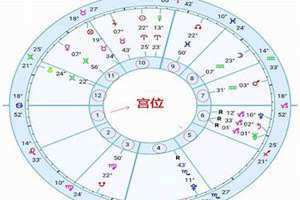星座宫位查询入口(星座宫位查询)