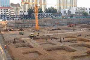 挖地基挖出蛇有什么征兆(挖地基)