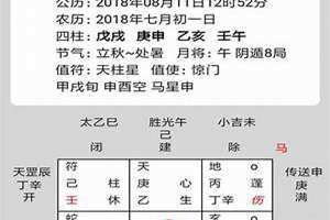 奇门遁甲免费排盘软件下载(奇门遁甲免费排盘)