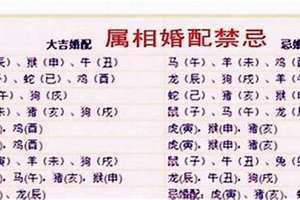 八字合婚准吗害人不浅知乎(八字合婚准吗)