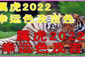 属虎幸运色是什么颜色2024年运势(属虎幸运色)