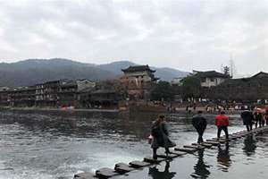 跳岩是什么意思 跳岩企鹅生活在哪个岛