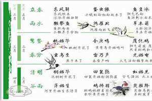 物候是什么意思,大自然的语言(物候是什么意思)