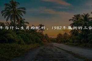 1982年属狗女2024年全年的运势 1982年属什么狗(金木水火土)