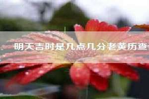 明天吉时查询(明天吉时)