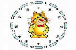 卯时属什么生肖(寅时属什么生肖)