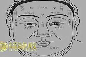 贪狼在福德宫的女人(贪狼在福德宫)