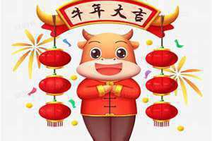 下个牛年是哪年(牛年是哪年)