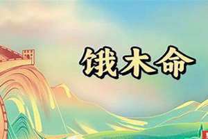 饿木命是几月到几月(饿木命)