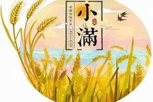 小满是什么时候几月几日(小满是什么时候)