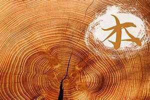 五行缺木的人忌讳什么数字(五行缺木的人忌讳什么)