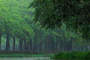 女生说下雨了是什么意思(下雨了是什么意思)