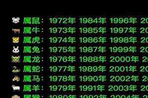 属兔的出生年份表(属虎的出生年份表)