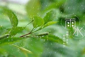 雨水养生小知识(雨水养生)