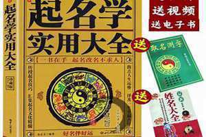 起名字典大全免费(起名字典)