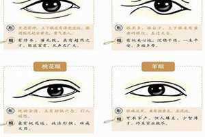 眼相分析(眼相)