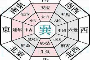 巽位代表什么 巽位摆放什么最好