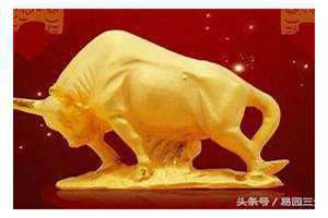 己丑年是哪一年属什么生肖(己丑年是哪一年)