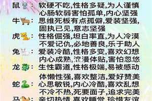 十二生肖的性格特点和优缺点(十二生肖的性格)