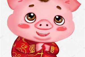 十二生肖猪为什么是最后一名(十二生肖猪)