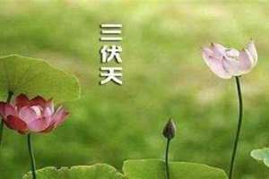 进伏天是哪一天(进伏)