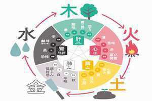 丑五行属土还是木(丑五行)