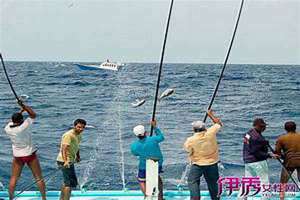梦见钓鱼一钓就上钩而且是大鱼 梦见钓鱼一钓就上钩而且是大鱼,后面上来了个死人