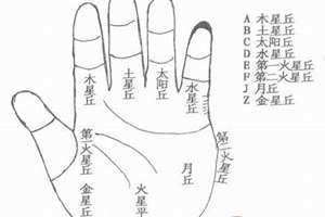 手上的金星丘在哪(金星丘在哪)