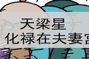 夫妻宫天梁陷是什么意思(夫妻宫天梁)