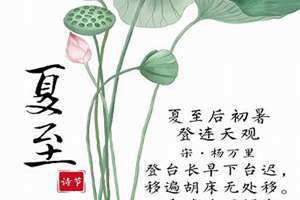 夏至诗句古诗大全(夏至诗句)