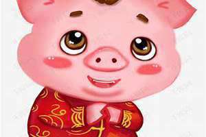 年猪小说免费 年猪是什么意思