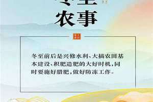 冬至白昼最短小说全文免费阅读(冬至白昼最短)