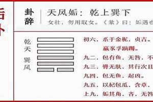 天风姤卦详解(天风姤卦)