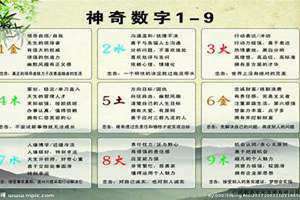 数易文化1至9数字解析 数易文化真实面目