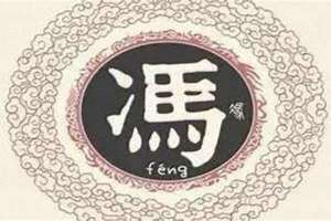 冯姓的来源和历史研究报告 冯姓的来源和历史名人调查报告