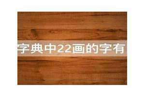 22画的字有哪些(22画的字)