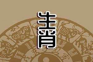 40岁属啥的今年2024 40岁属啥的哪年出生