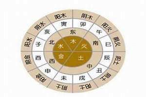 八字全阳男命好不好(八字全阳)