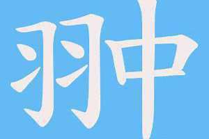 翀的读音是什么意思 翀的读音和释义