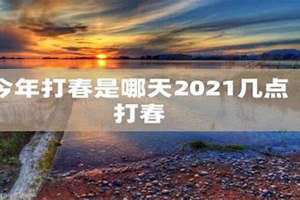 今年哪天打春?(今年哪天打春)