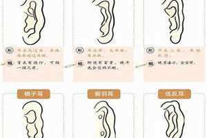 元宝耳朵图片面相 元宝耳朵的人的命运