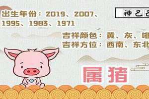 2024年3月份属猪的运势(属猪的运势)