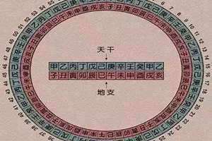 癸酉年五行属什么(癸酉年)