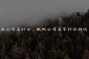 免费测公司名打分最准确的(测公司名字打分)