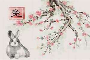 属兔今年运势如何2023(属兔今年运势如何)