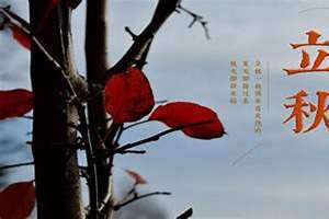 今年什么时候立秋2023(今年什么时候立秋)
