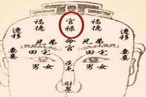 禄存在官禄宫详解(禄存在官禄宫)