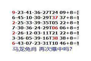 五肖中特一百赔多少钱(五肖中特)